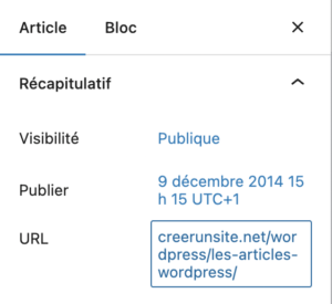 Les options d'article WordPress